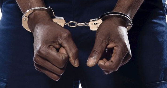 Zimbabwe: Mwanahabari Akamatwa Na Polisi Kwa Kumhoji Mkosoaji Wa Rais