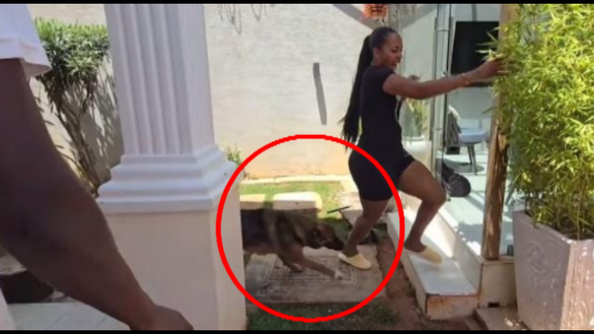 Diana Marua anusurika kung’atwa na mbwa wake katika jaribio la kutaka kucheza naye
