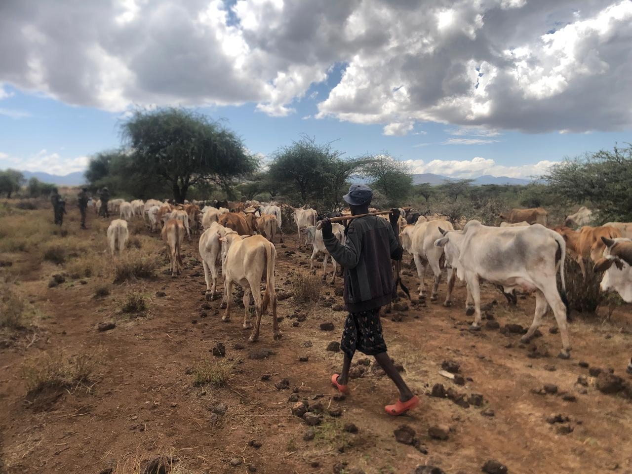 Jamaa aliyeachwa siku mbili kabla ya harusi arudi kwa wakweze kudai mahari
