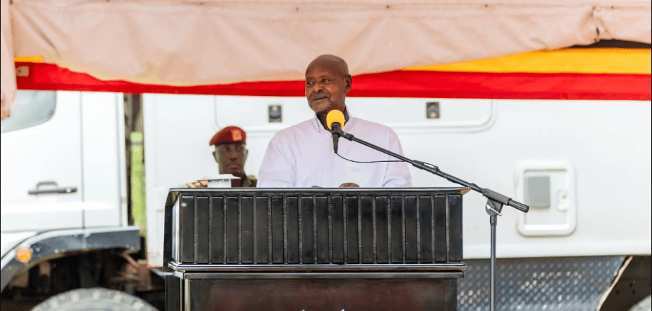 Museveni apinga watafiti kuongeza Nyama na Samaki kwenye vyakula vya ng’ombe